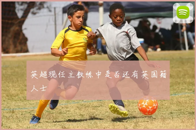 英超现任主教练中是否还有英国籍人士