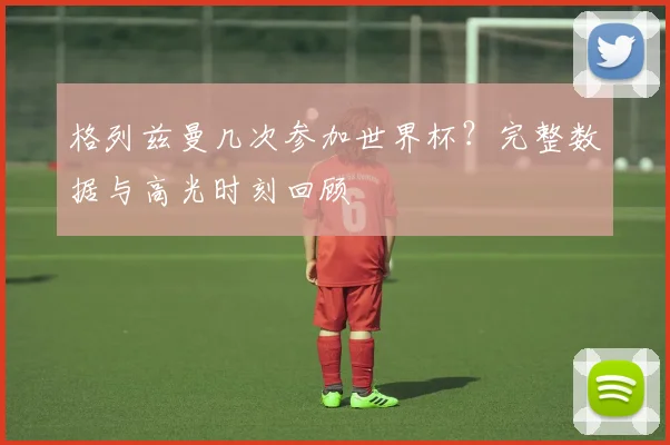 格列兹曼几次参加世界杯？完整数据与高光时刻回顾